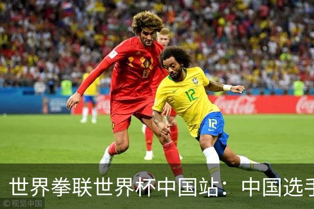 世界拳联世界杯中国站：中国选手斩获5金